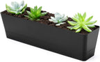 GREANER 16x3.8 Inch Herb Window Boxes 1PCS, Succulent Flower Rectangular by GREANER