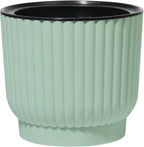 T4U 4.5 Inch Plant Pots Self Watering, 6 Pack African Violet Pots, Small Plant - Image 4