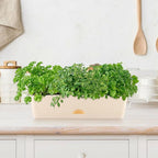 6 Pack Rectangle Planter 16x4.4 Inch Window Boxes Planters Rectangular Large - Image 2