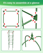Garden Trellis for Climbing Plants Outdoor & Indoor - 6Ft Tall Rustproof Plant - Image 5