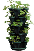Mr. Stacky 1305-HG 5-Tier Stackable Strawberry, & Vegetable Planter by Mr.+Stacky