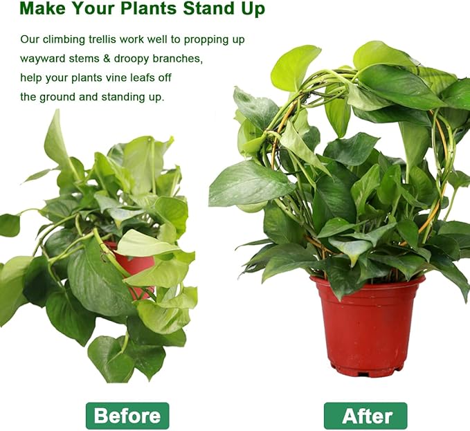 2 Pack Circle Trellis for Climbing Plants Indoor, Flower Houseplant Hoya - Image 3