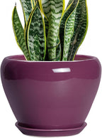 Ceramic Planter by Ceramicfor