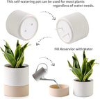 Nihow Self Watering Plant Pot: 6 Inch Ceramic Planter - Image 3