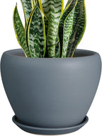Ceramic Pot for Plants by Ceramicfor