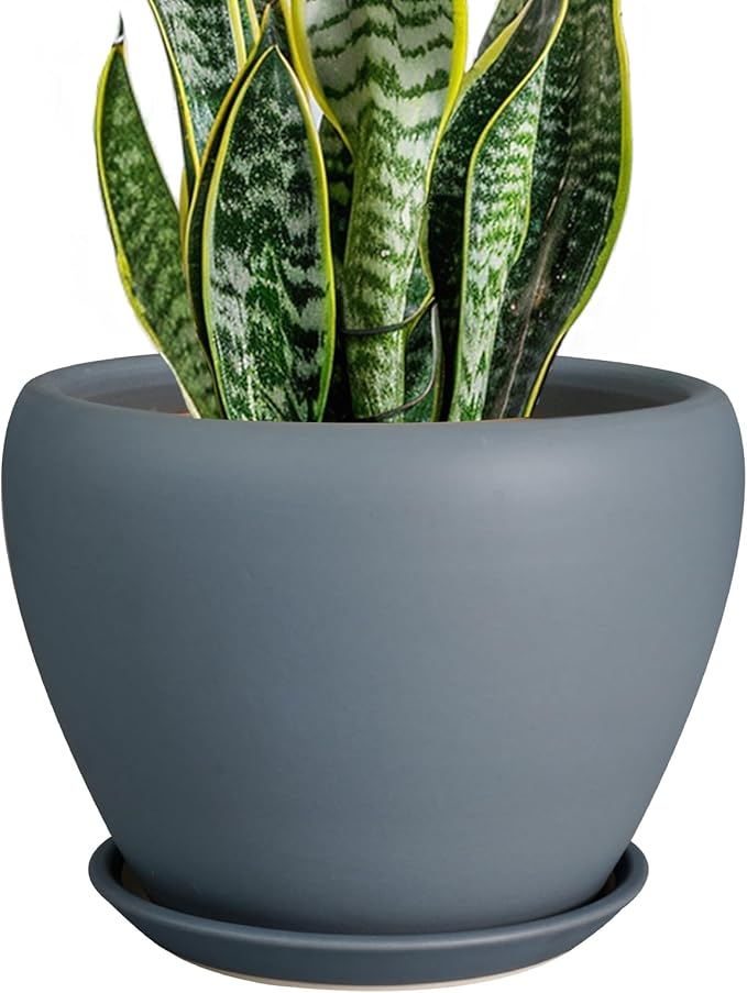 Ceramic Pot for Plants by Ceramicfor