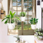 3 Pack Macrame Plant Hanger, Hanging Plant Holder, Boho Home Decor Hanging - Image 7