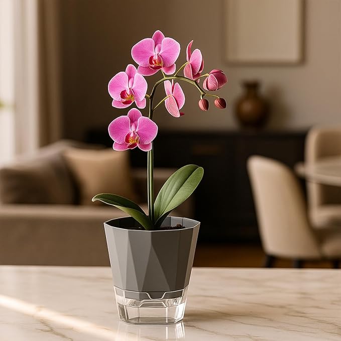6 Pack Self Watering Plant Pots 8.4" Self Watering Planters - Image 2
