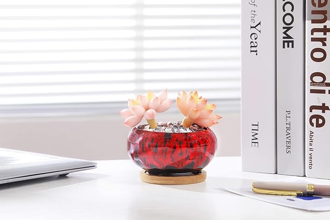 Cute Ceramic Succulent Garden Pots, Planter - Image 7