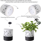 Nihow Self Watering Plant Pot: 6 Inch Ceramic Planter - Image 7