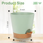 8-Inch Plant Pots, Self-Watering Planters - Image 3