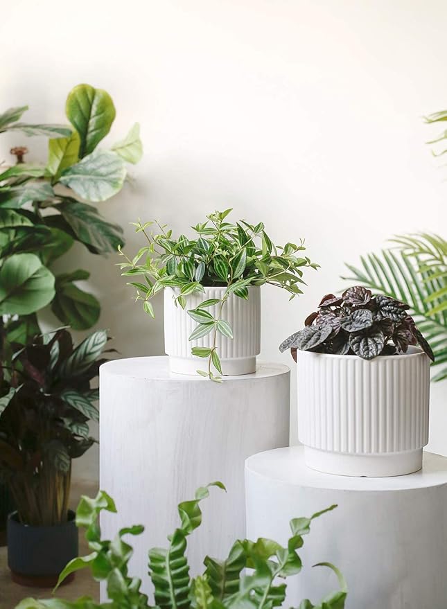 LE TAUCI Ceramic Pots for Plants, 8+6.7+5.5 Inch Plant Pots Indoor, Flower Pot - Image 3