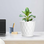 6 inch Flower Pots, 5 Pack Plant Pots - Image 5