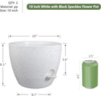 10 inch Self Watering Pots, Plant Pots - Image 3
