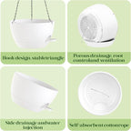2 Pack 10 Inch Self Watering Hanging Planters - Image 7