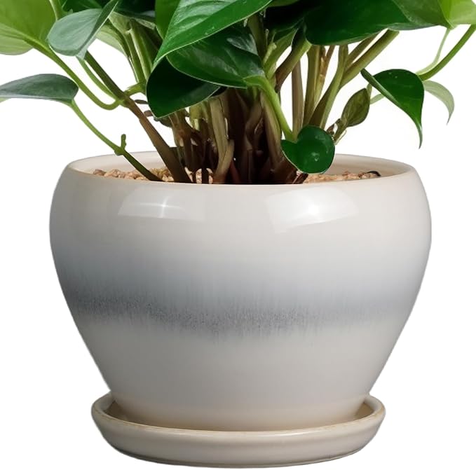 Planter Pot 6 Inch by Ceramicfor