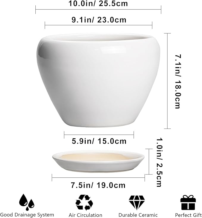 Ceramic Pot for Plants - Image 3