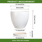 8 Inch Plant Pot - Image 3
