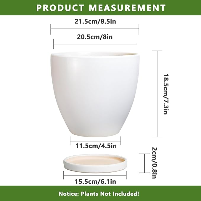 8 Inch Plant Pot - Image 3