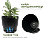 Plant Pots 8 Inch Set of 6, Flower Pots - Image 3