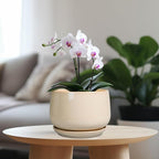 G EPGardening Ceramic Planter - Image 2