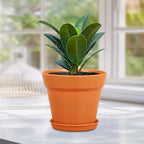 4 inch Small Plastic Nursery Pots, 16 Pack Plant Pots - Image 6