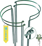 Snake Plant Support Stake by WooWellGoGoGoProducts