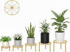 5-Pack Metal Plant Stand Indoor Anti-Rust Flower Display Stand Heavy Duty - Image 2
