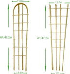 Natural Bamboo Trellis, Fan-Shaped+U-Shape, Plant Support Trellis - Image 2