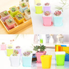 Haawooky 24 Pack Colorful Flower Pots Square Plastic Plant Pots Succulent - Image 5