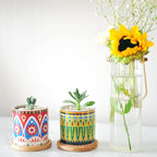 Mandala Succulent Pot with Drainage Hole & Bamboo Coaster, Small Plant Pots - Image 5
