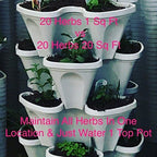 Mr. Stacky 5 Tiered Vertical Gardening Planter, Indoor & Outdoor - Image 8
