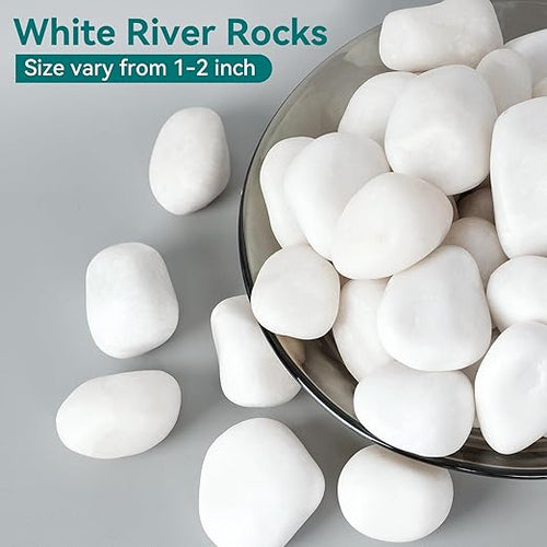 20 lbs White Rocks for Landscaping, 1-2 inch Decorative Rocks for Plants Indoor - Image 2