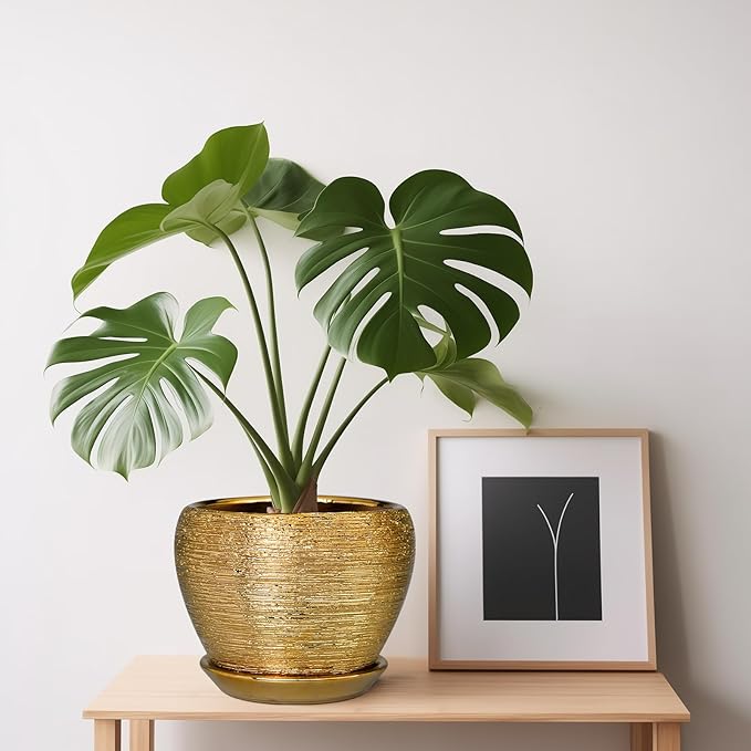 Indoor Plant Pot 6 Inch - Image 7