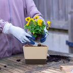 GREANER Indoor Planter Pots - Image 5
