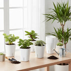 10 Sets 4" Self Watering Pots for Indoor Plants, Plastic Self Watering Planter - Image 7