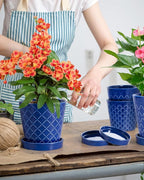BUYMAX Ceramic Plant Pots –5 inch Indoor Flower Pot - Image 3