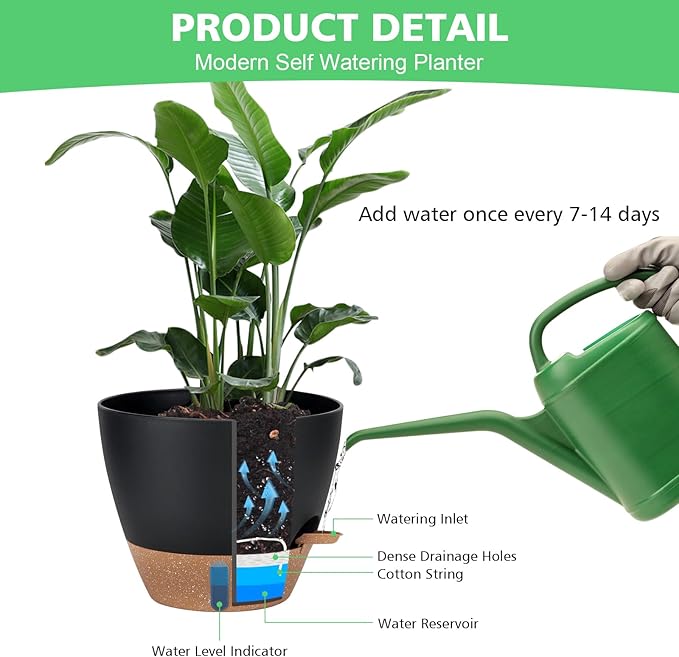 12" 10" 9" 8" Self Watering Pots - Image 6