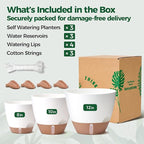 T4U 3 Pack Self Watering Pots - Image 6