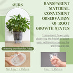 Self Watering Pots for Indoor Plants - Image 5