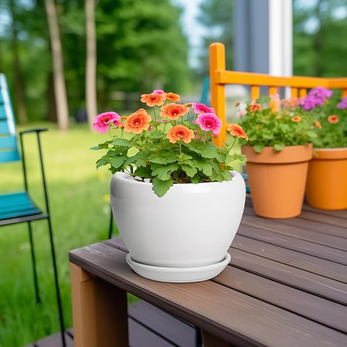 Ceramic Pot for Plants - Image 4