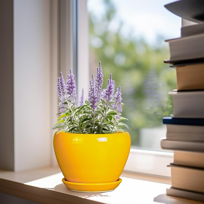 Ceramic Pot for Plants - Image 2