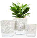 Self Watering Pots for Indoor Plants, 6 & 5 & 4 Inch Stylish Flower Pots - Image 9