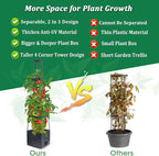 MQFORU 2Pack Raised Garden Bed Planter Boxes - Image 4
