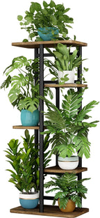 LINZINAR Plant Stand 5 Tier 6 Plant Multiple Flower Rack Holder Shelves Rack by LINZINAR