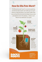 Back to the Roots Self-Watering Terracotta Olla Pot, 700mL Provides 1 Week of - Image 2