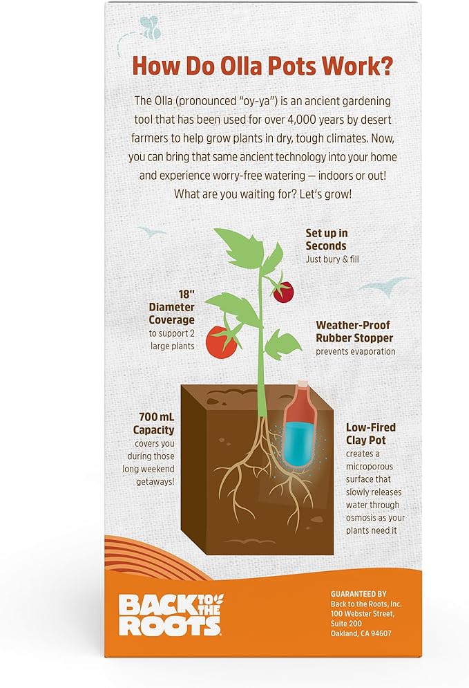 Back to the Roots Self-Watering Terracotta Olla Pot, 700mL Provides 1 Week of - Image 2