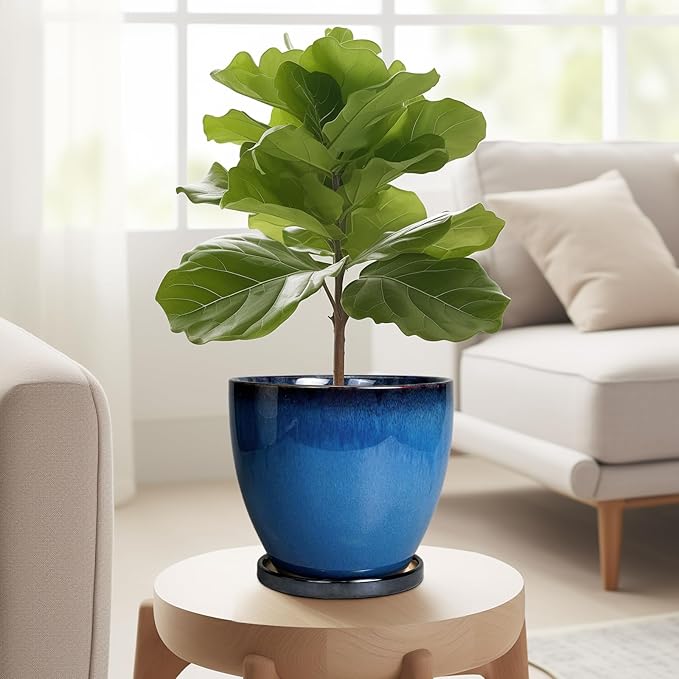 Ceramic Planters for Indoor Plants - Image 4