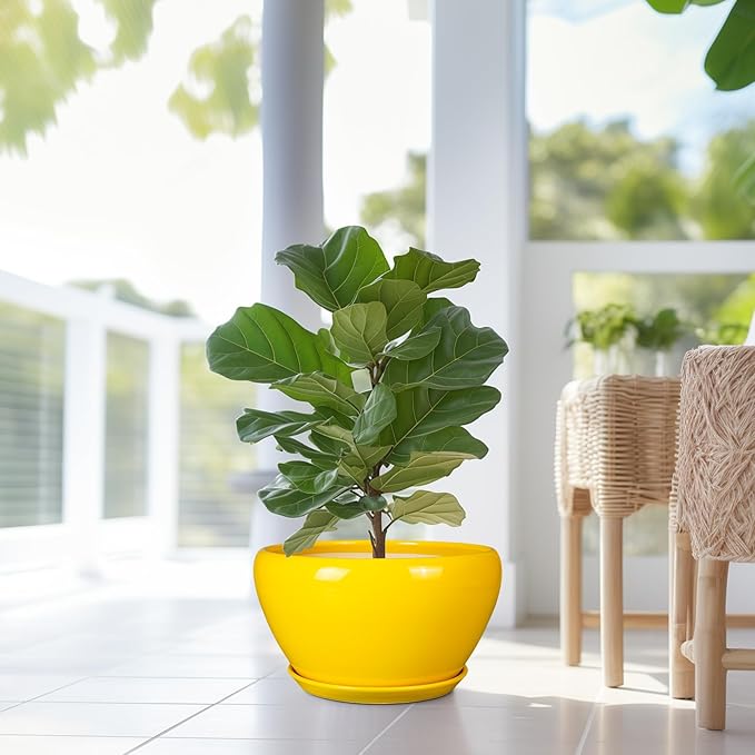 Ceramic Planter for Indoor Plants - Image 5