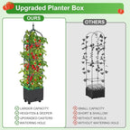 Raised Garden Bed Planter Boxes - Image 3